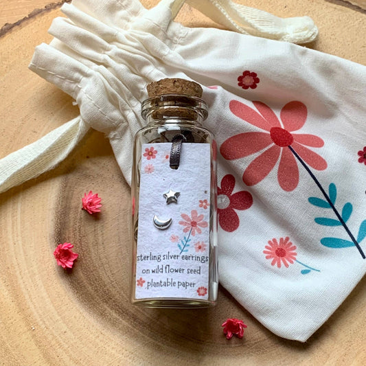 Moon & Star Sterling Silver Bottled Earrings With Cotton Bag