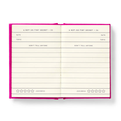 Tiny Diary for Not So Tiny Secrets (Diary or Journal)
