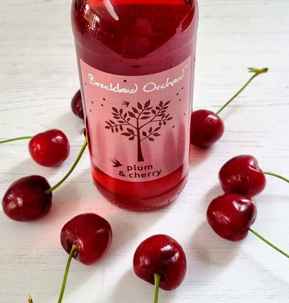 Plum and Cherry Posh Pop 275ml by Breckland Orchard