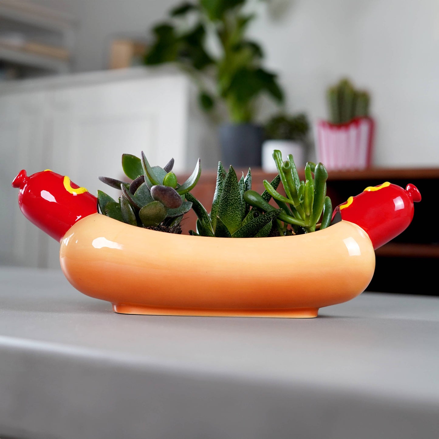 Ceramic Hot Dog Planter