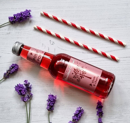 Plum and Cherry Posh Pop 275ml by Breckland Orchard