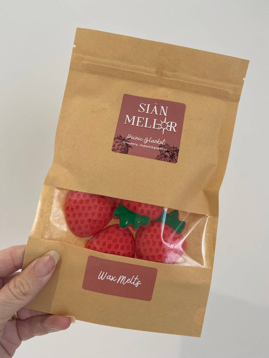 Picnic Blanket wax melt shapes