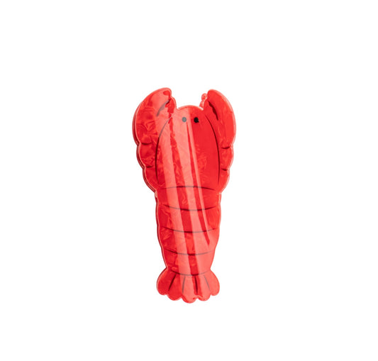 Lobster Claw Clip