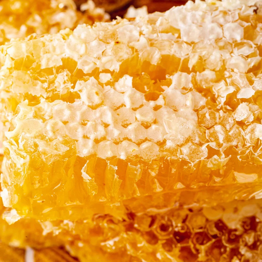 Honey Lip Balm