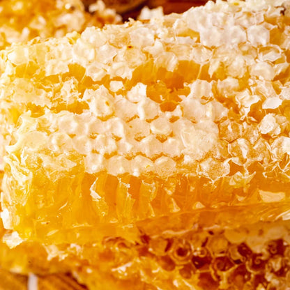 Honey Lip Balm