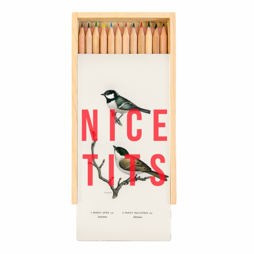 Coloured Pencils with Box 'Nice Tits'