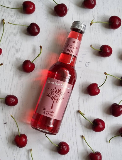 Plum and Cherry Posh Pop 275ml by Breckland Orchard