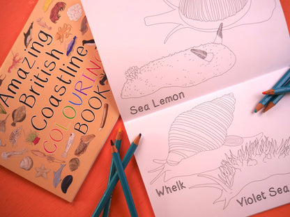 Amazing British Coastline Colouring Book