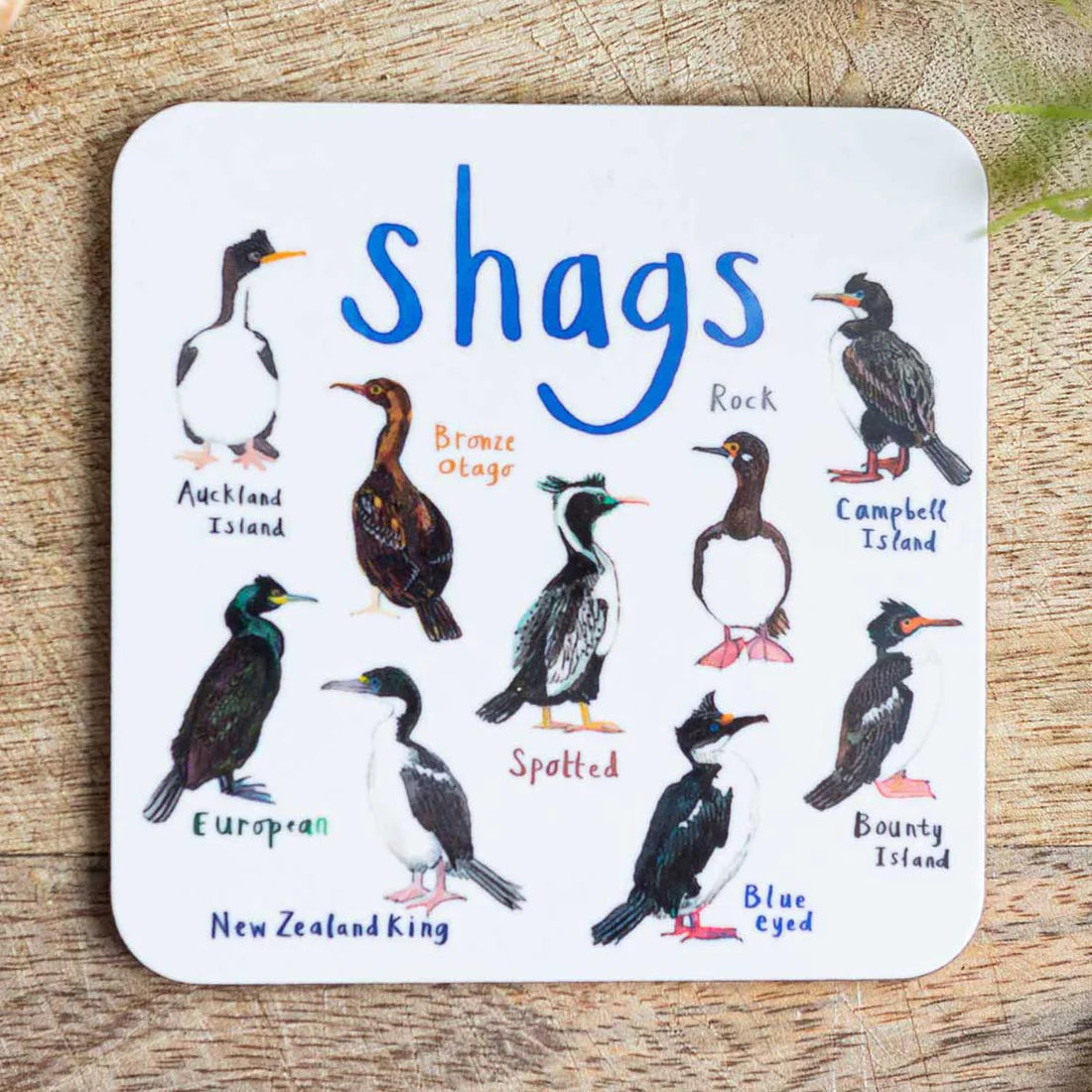 Naughty Animals and Birds Coasters