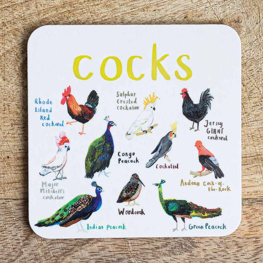 Naughty Animals and Birds Coasters