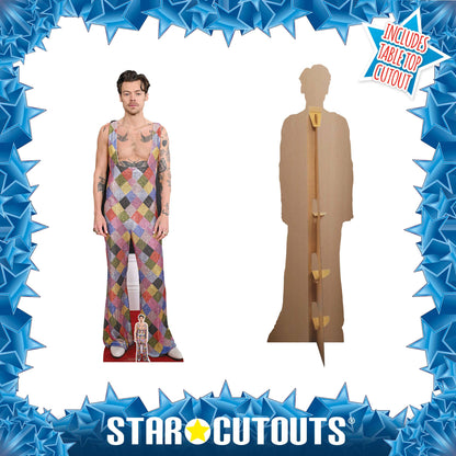 Harry Styles - Height 185cm - Lifesize Cardboard Cut Out With Mini Harry Also