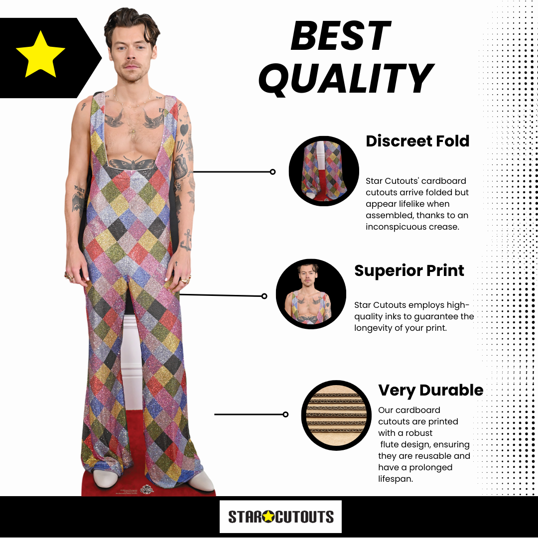 Harry Styles - Height 185cm - Lifesize Cardboard Cut Out With Mini Harry Also