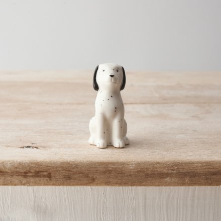 Speckled Porcelain Dog