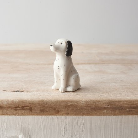 Speckled Porcelain Dog