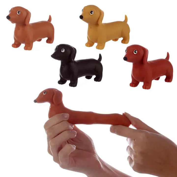 Squeezy Stretchy Dachshund Dog - Random Colour