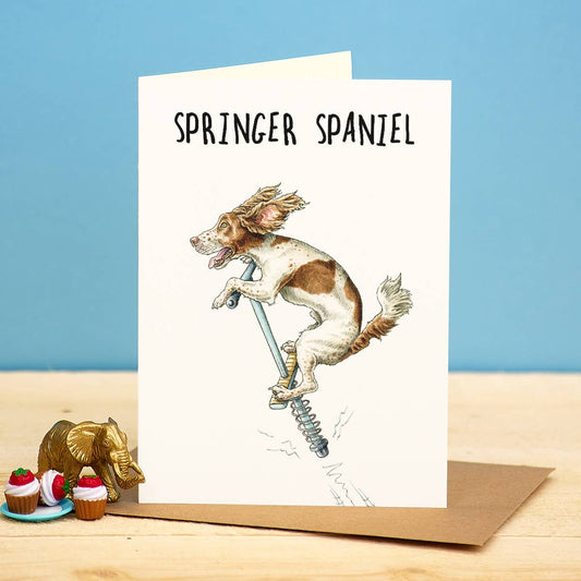 Springer Spaniel Card - Everyday Card - Funny
