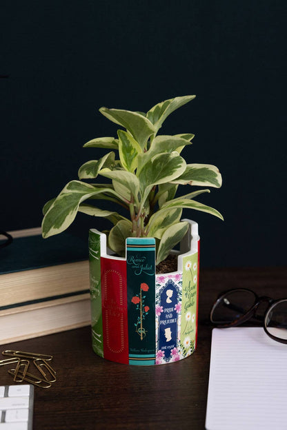 Desk Pot/Planter - Classic Books