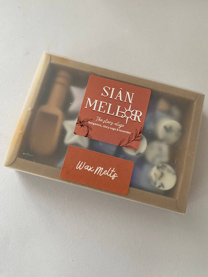 Wax melt scoopies - different scents 