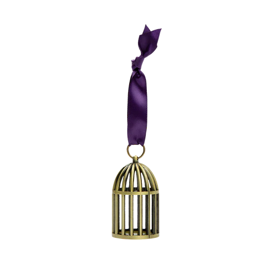 Speak Now (Taylor's Version) Bird Cage Ornament