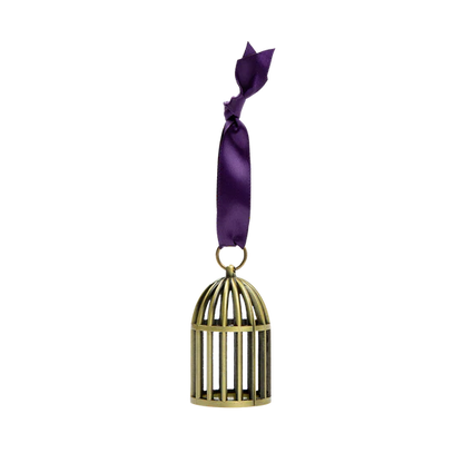 Speak Now (Taylor's Version) Bird Cage Ornament