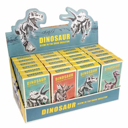 Assorted Glow-In-The-Dark Dinosaur Skeleton Kit