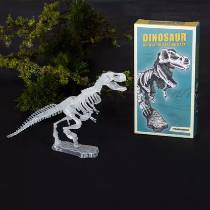Assorted Glow-In-The-Dark Dinosaur Skeleton Kit