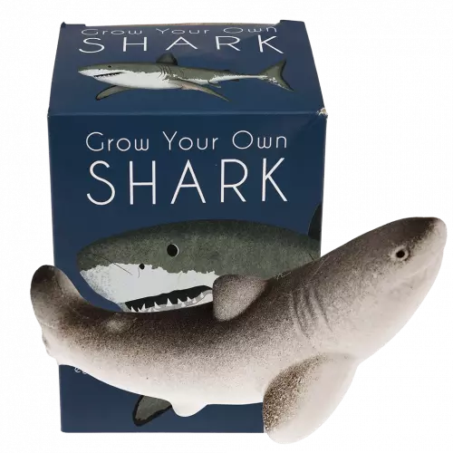 Sharks Giant Hatching Shark Egg