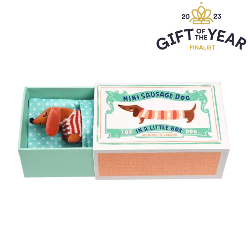 Mini Sausage Dog In A Little Box