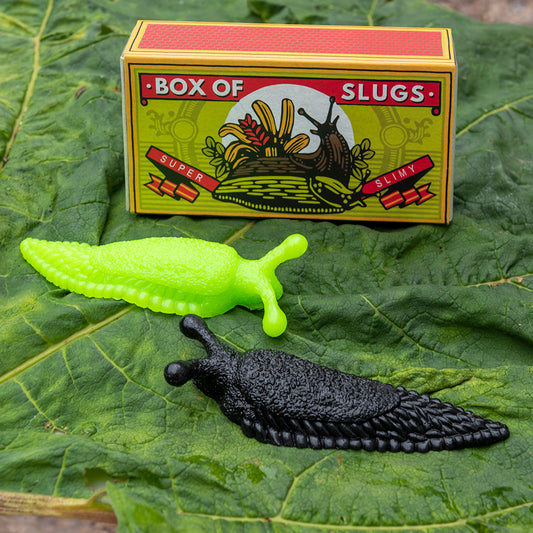 Rex of London - Box of Slugs