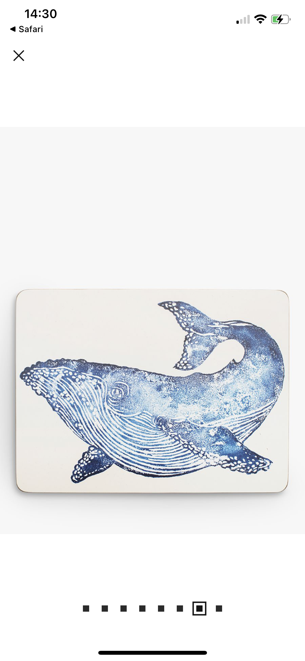 Creatures Set of 4 Placemats
